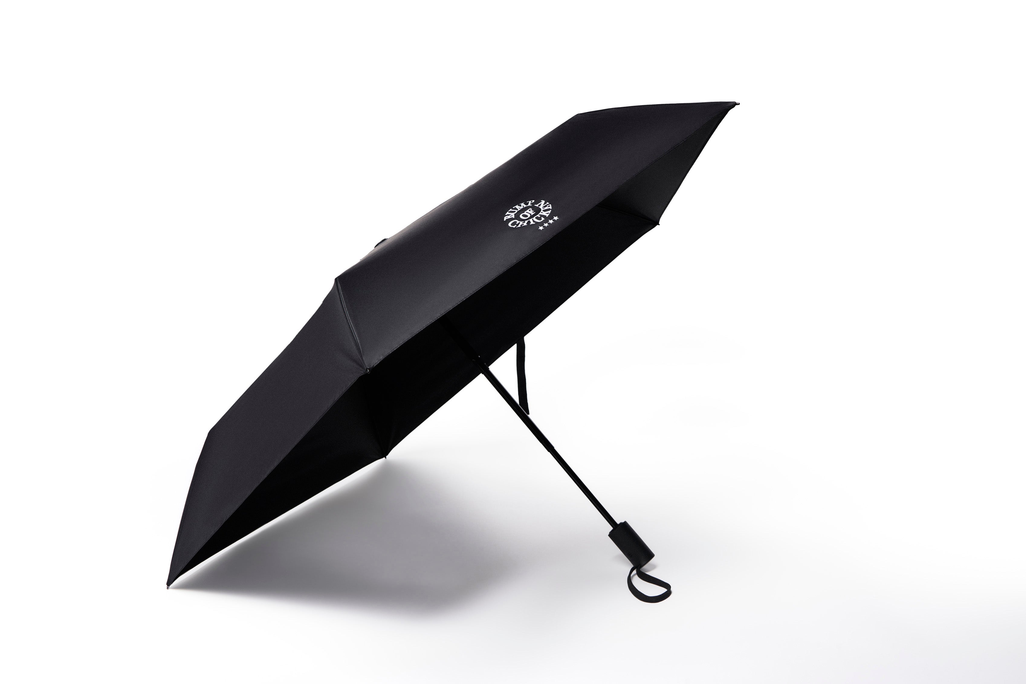 レディースBUMP OF CHICKEN 非売品　折りたたみ傘