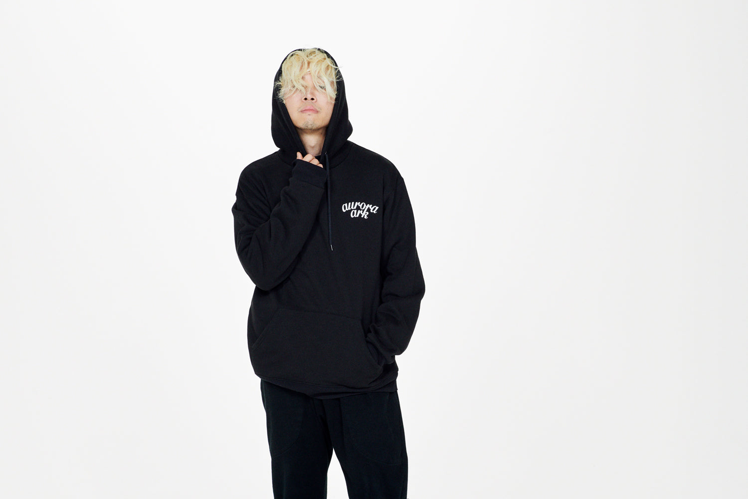 aurora ark Hoodie BLACK  《 L 》