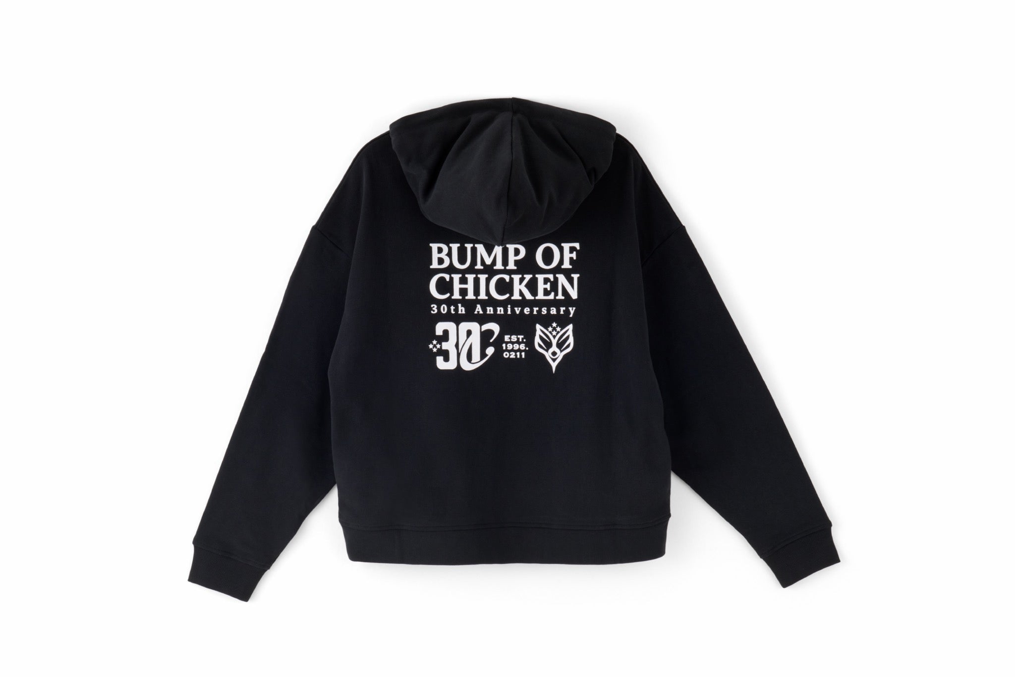 30th Logo Half Zip Hoodie